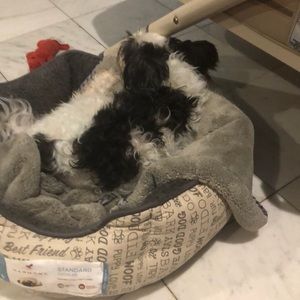 Meet your Posher, Jane